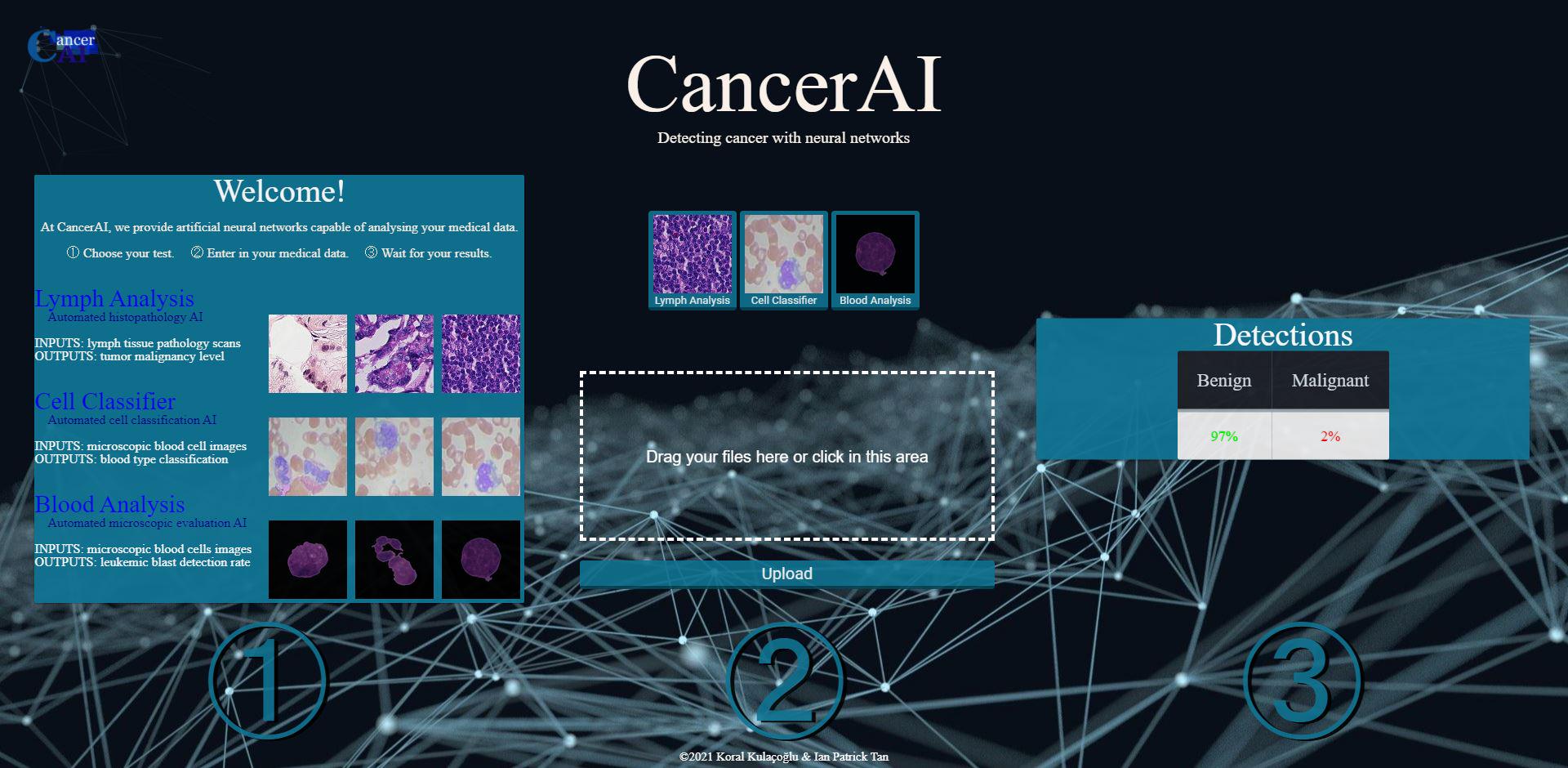 Histopathology AI